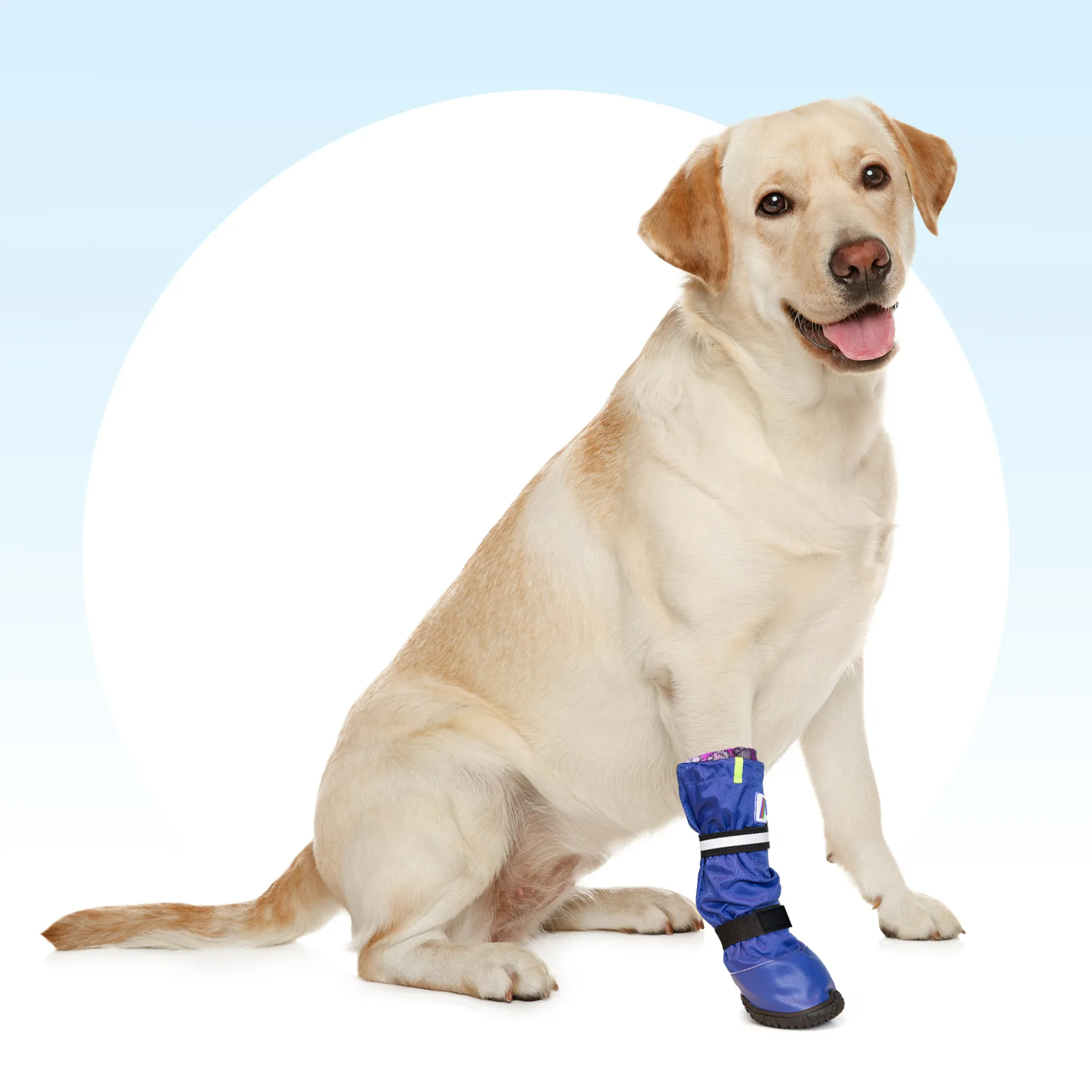 MPS Medical PetS Boot